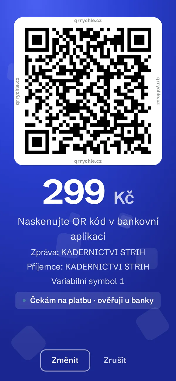 QR kód: čekám na platbu, ověřuji u banky